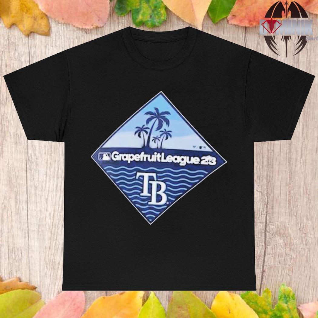 Official Tampa bay rays 2023 mlb spring training diamond T-shirt