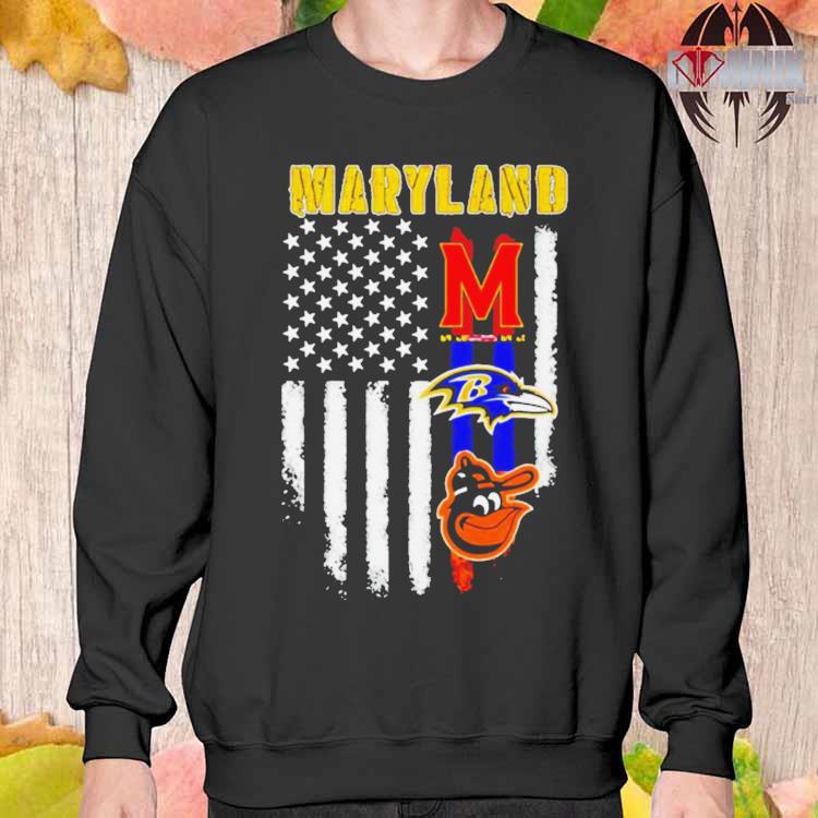 Maryland Baltimore Ravens Orioles And Terrapins T Shirt, hoodie