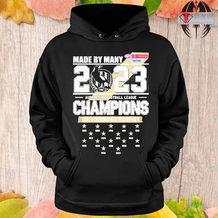 New Orleans Saints 2020 NFC South Division Champions shirt, hoodie